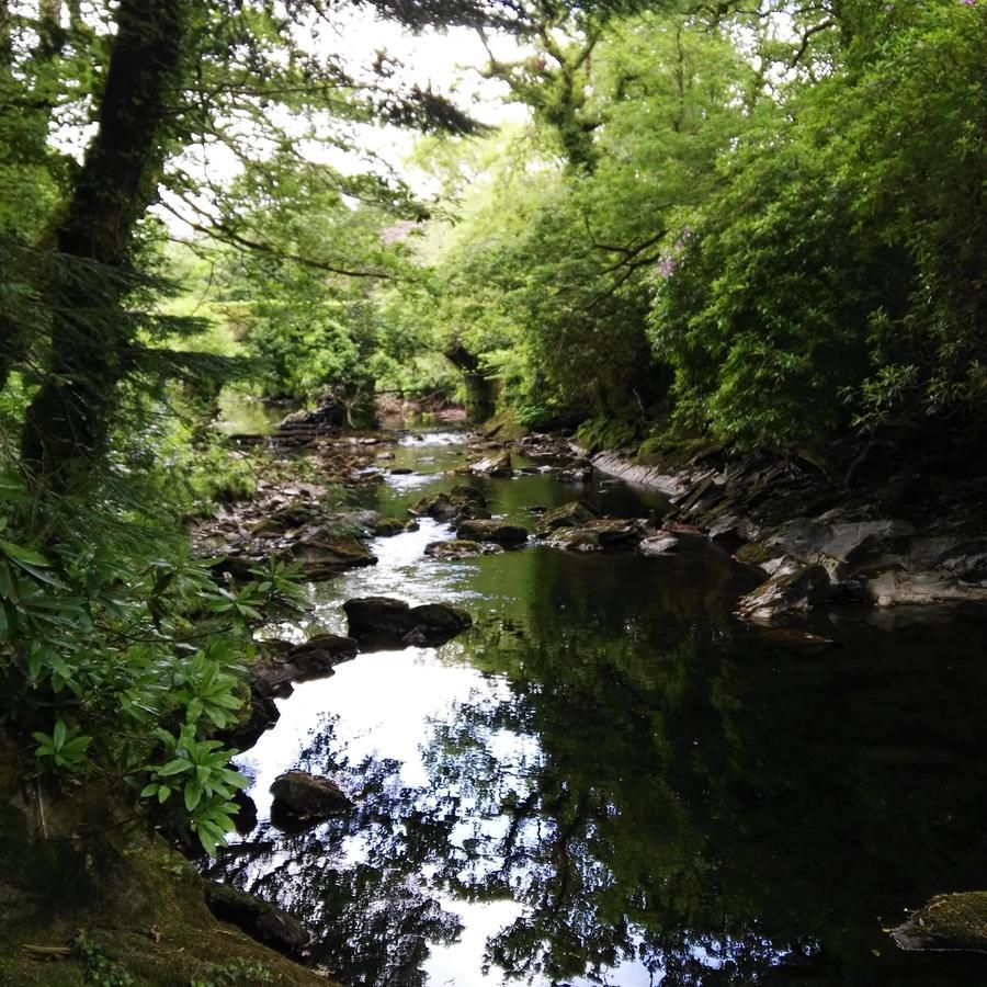 An Sibin B&B Kenmare Kültér fotó